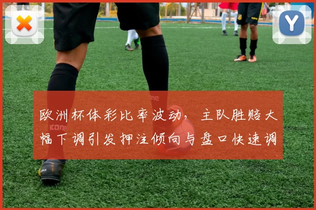 欧洲杯体彩比率波动，主队胜赔大幅下调引发押注倾向与盘口快速调整