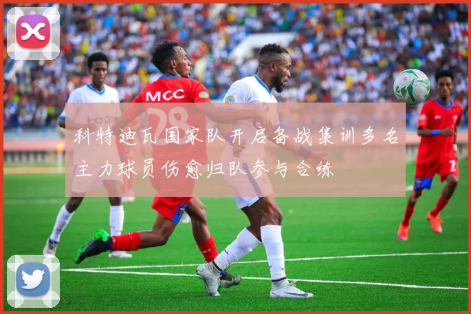 科特迪瓦国家队开启备战集训多名主力球员伤愈归队参与合练