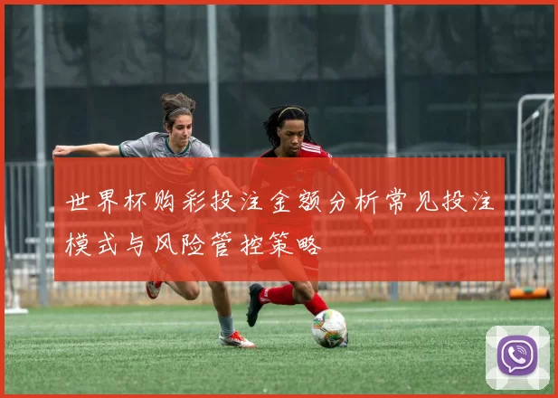 世界杯购彩投注金额分析常见投注模式与风险管控策略