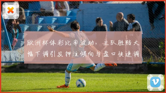 欧洲杯体彩比率波动，主队胜赔大幅下调引发押注倾向与盘口快速调整