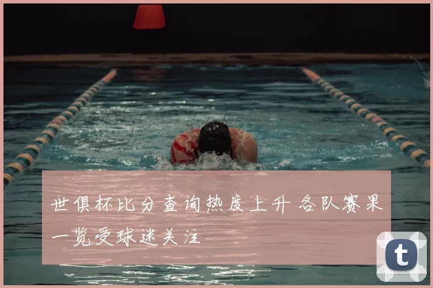 世俱杯比分查询热度上升 各队赛果一览受球迷关注