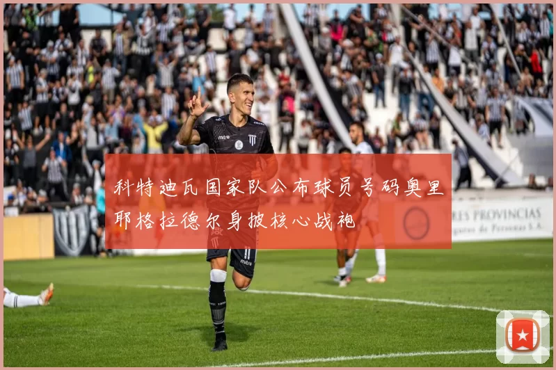 科特迪瓦国家队公布球员号码奥里耶格拉德尔身披核心战袍