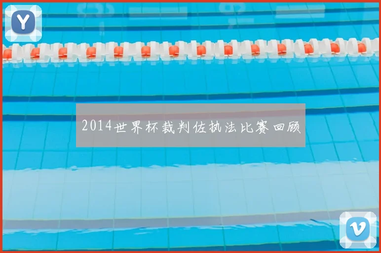 2014世界杯裁判佐执法比赛回顾