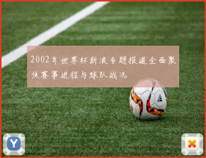 2002年世界杯新浪专题报道全面聚焦赛事进程与球队战况