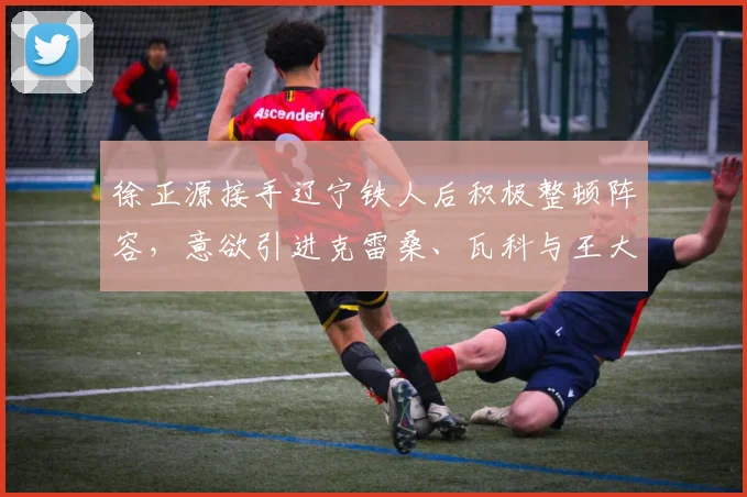 徐正源接手辽宁铁人后积极整顿阵容，意欲引进克雷桑、瓦科与王大雷强化战力_李金羽_韩镕泽_球迷