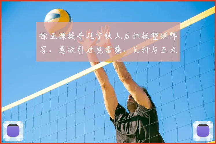 徐正源接手辽宁铁人后积极整顿阵容，意欲引进克雷桑、瓦科与王大雷强化战力_李金羽_韩镕泽_球迷